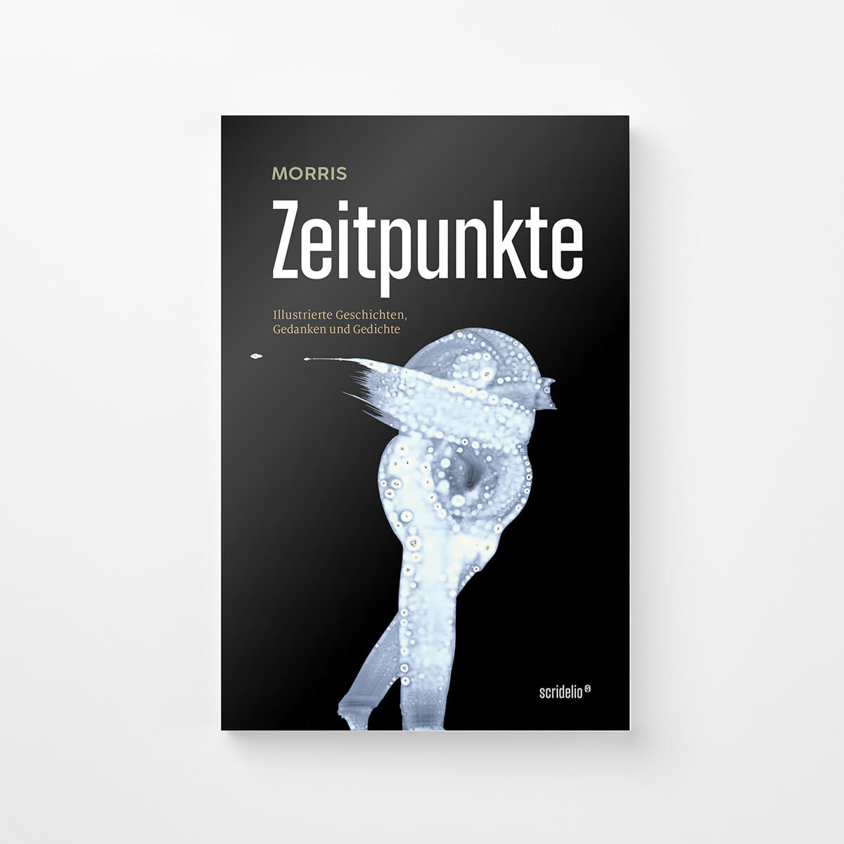 Projekte Cover klein